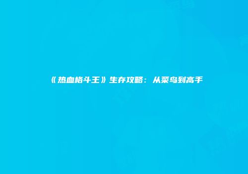 《热血格斗王》生存攻略：从菜鸟到高手