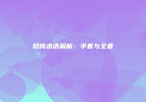 隐晦术语解析：半套与全套