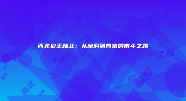 西北狼王林北：从窑洞到首富的奋斗之路