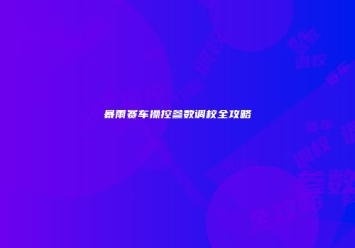 暴雨赛车操控参数调校全攻略