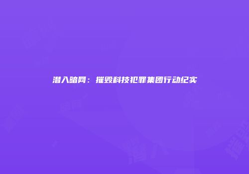 潜入暗网：摧毁科技犯罪集团行动纪实