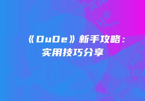 《DuDe》新手攻略：实用技巧分享