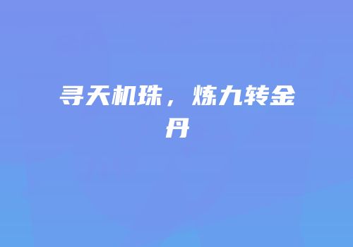 寻天机珠，炼九转金丹