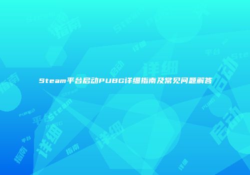 Steam平台启动PUBG详细指南及常见问题解答