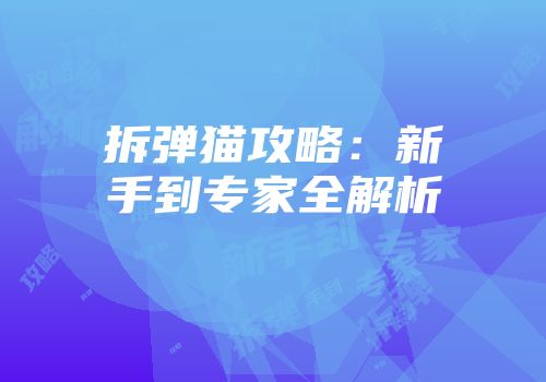 拆弹猫攻略：新手到专家全解析
