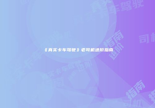 《真实卡车驾驶》老司机进阶指南