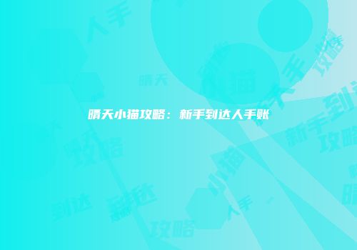 晴天小猫攻略：新手到达人手账