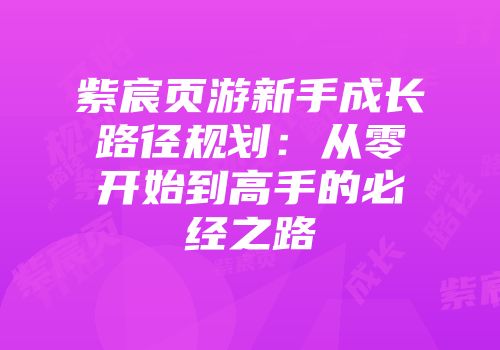 紫宸页游新手成长路径规划:从零开始到高手的必经之路