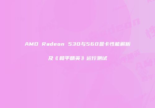 AMD Radeon 530与560显卡性能解析及《和平精英》运行测试