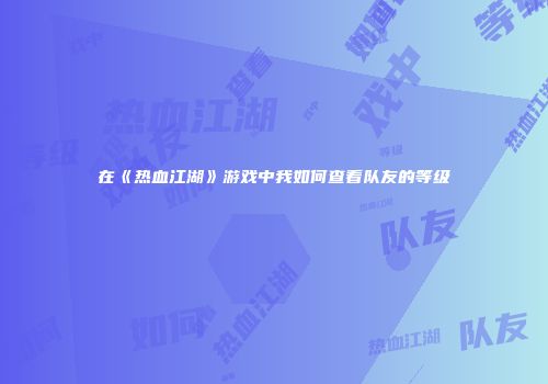 在《热血江湖》游戏中我如何查看队友的等级