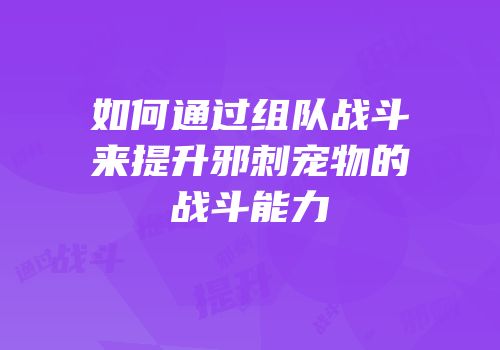 如何通过组队战斗来提升邪刺宠物的战斗能力