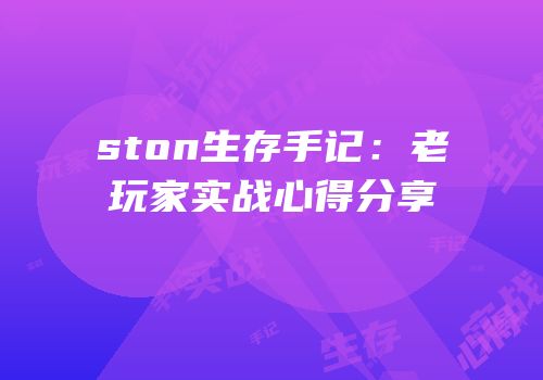 ston生存手记：老玩家实战心得分享