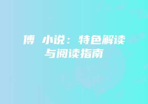 傅漴小说：特色解读与阅读指南