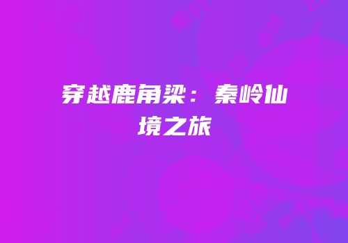 穿越鹿角梁：秦岭仙境之旅