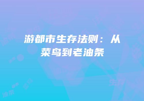 游都市生存法则：从菜鸟到老油条
