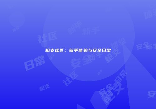 枪支社区：新手体验与安全日常