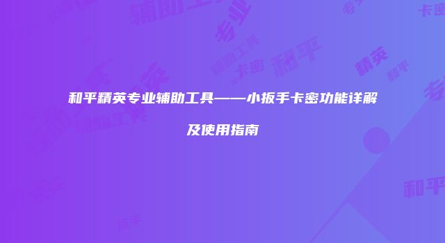 和平精英专业辅助工具——小扳手卡密功能详解及使用指南