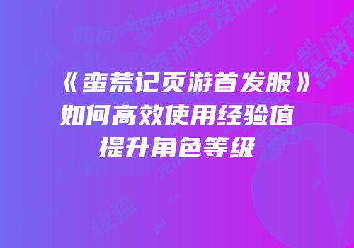《蛮荒记页游首发服》如何高效使用经验值提升角色等级
