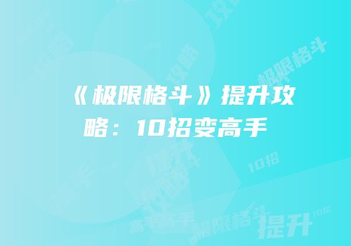 《极限格斗》提升攻略：10招变高手