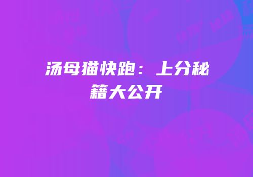 汤母猫快跑：上分秘籍大公开