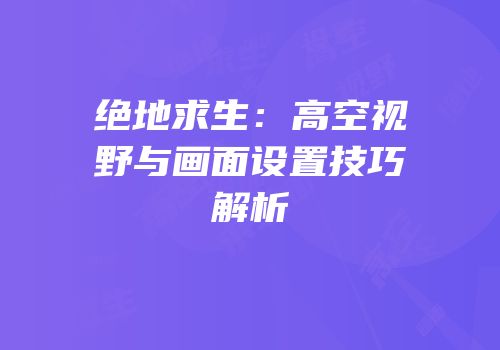 绝地求生：高空视野与画面设置技巧解析