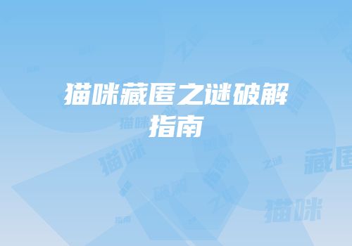 猫咪藏匿之谜破解指南