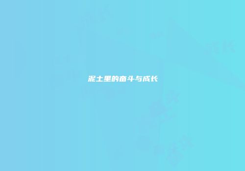 泥土里的奋斗与成长