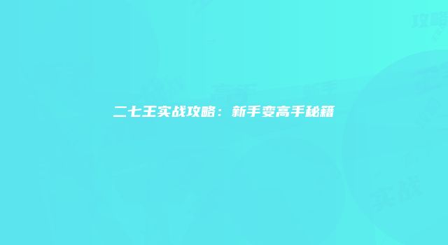二七王实战攻略：新手变高手秘籍