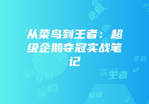 从菜鸟到王者：超级企鹅夺冠实战笔记