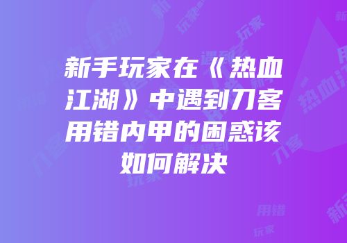 新手玩家在《热血江湖》中遇到刀客用错内甲的困惑该如何解决