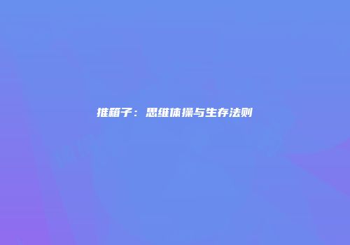 推箱子：思维体操与生存法则