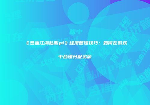 《热血江湖私服pf》经济管理技巧：如何在游戏中合理分配资源