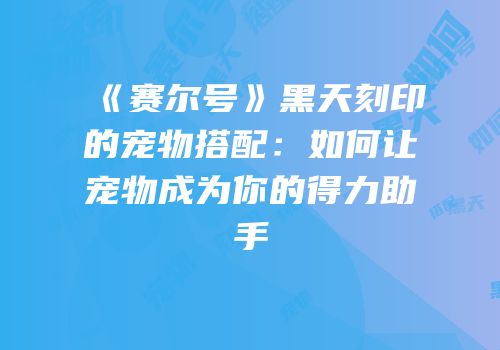 《赛尔号》黑天刻印的宠物搭配：如何让宠物成为你的得力助手