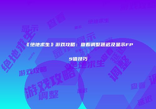 《绝地求生》游戏攻略：查看调整延迟及显示FPS值技巧