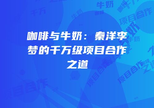 咖啡与牛奶：秦洋李梦的千万级项目合作之道