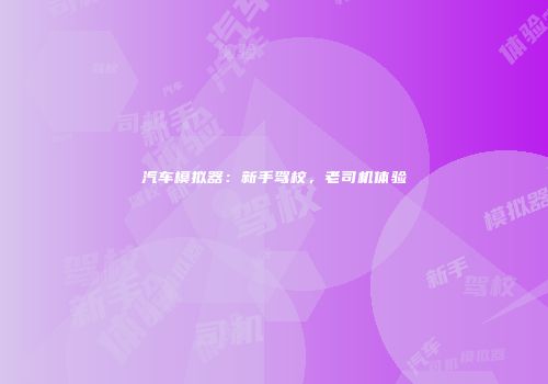 汽车模拟器：新手驾校，老司机体验