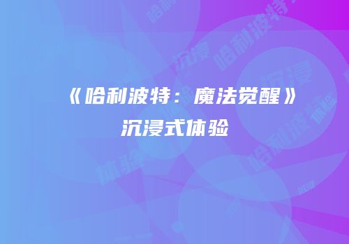 《哈利波特：魔法觉醒》沉浸式体验
