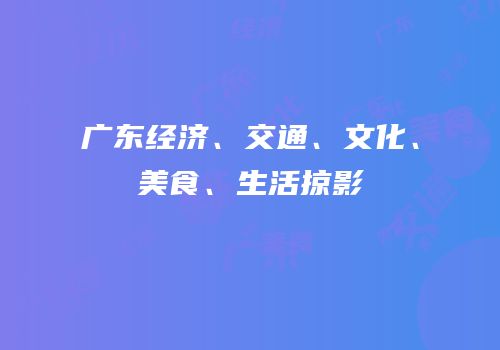 广东经济、交通、文化、美食、生活掠影