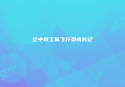 空中特工队飞行员成长记