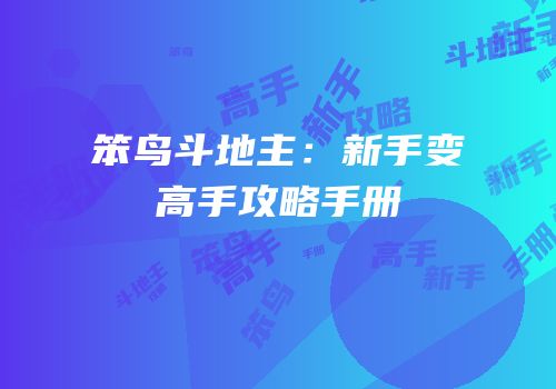 笨鸟斗地主：新手变高手攻略手册