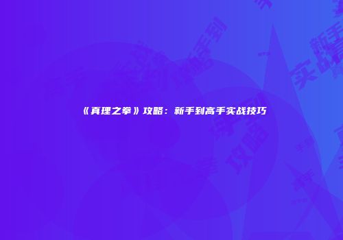 《真理之拳》攻略：新手到高手实战技巧