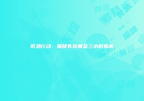 紧急行动：猫咪失踪黄金三小时指南