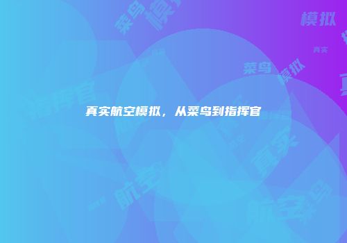 真实航空模拟，从菜鸟到指挥官