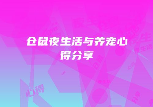 仓鼠夜生活与养宠心得分享