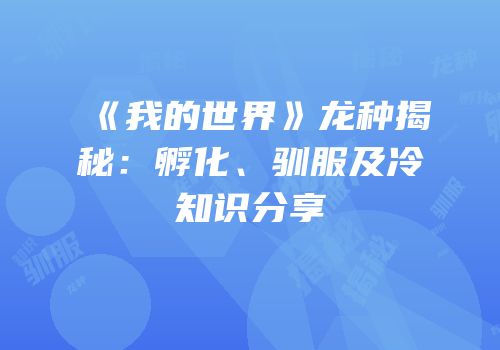 《我的世界》龙种揭秘：孵化、驯服及冷知识分享