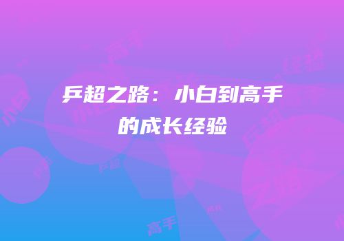 乒超之路：小白到高手的成长经验