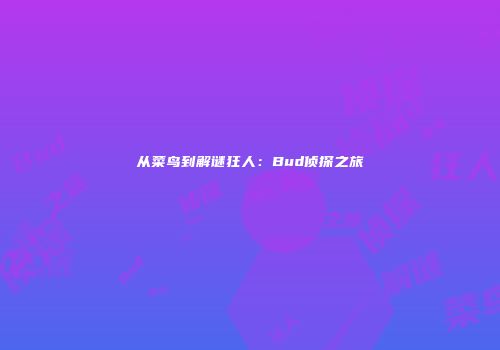 从菜鸟到解谜狂人：Bud侦探之旅