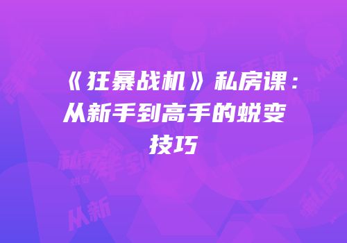 《狂暴战机》私房课：从新手到高手的蜕变技巧