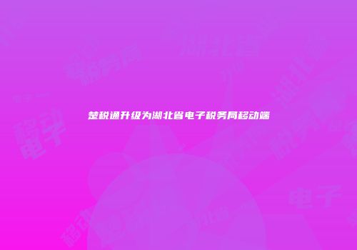 楚税通升级为湖北省电子税务局移动端