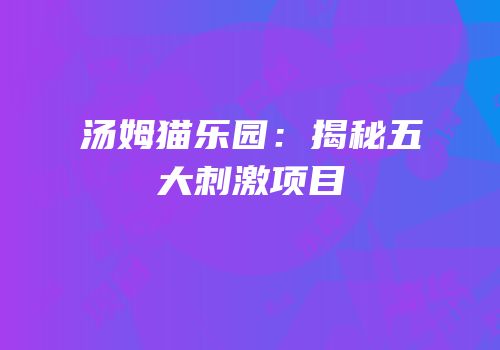 汤姆猫乐园：揭秘五大刺激项目